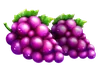 Basket Bounty Druvsymbol