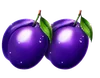 Basket Bounty Plum-symbol