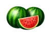 Basket Bounty Vattenmelonsymbol
